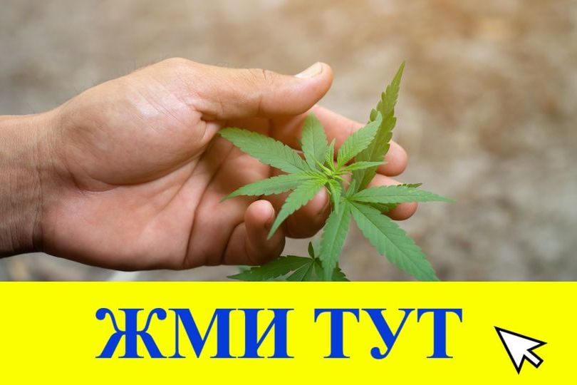 Купить наркотики в Омутнинске